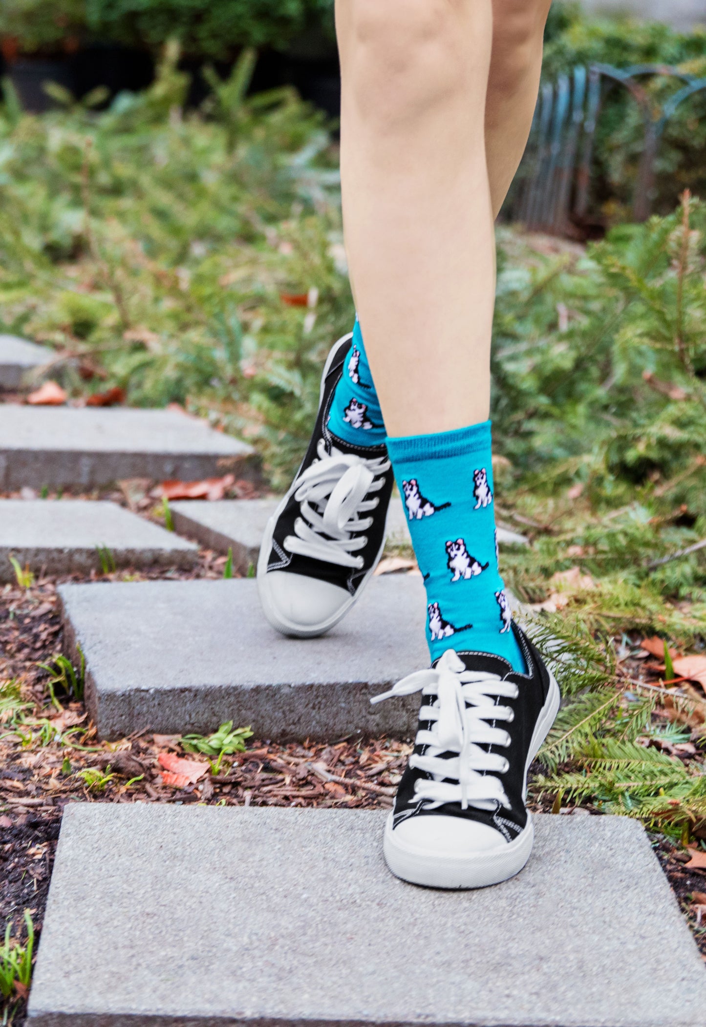 Huskies Bamboo Blend Crew Socks : Color: Deep Lagoon