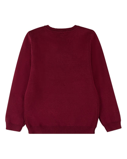 Boys 100% Cotton Knit Pullover Crewneck Sweater with Embossed 3D Crest