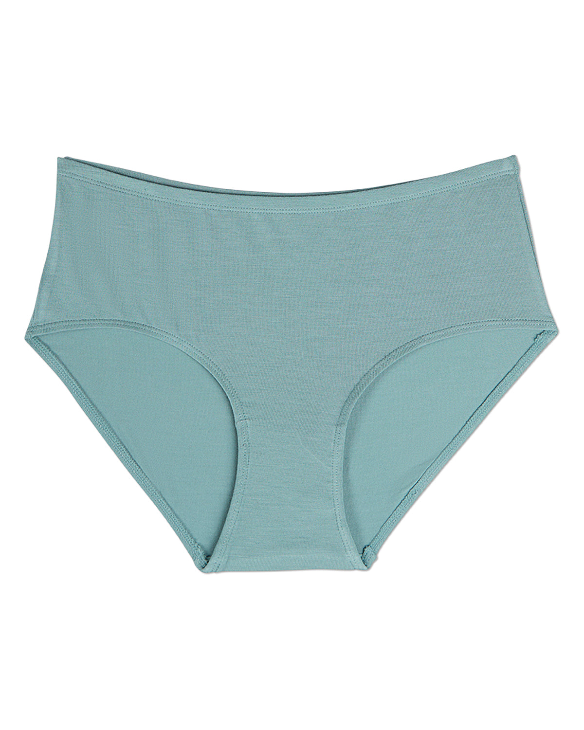 3 Pair Women's Luxe Modal Blend Brief Panties : Color: Arctic
