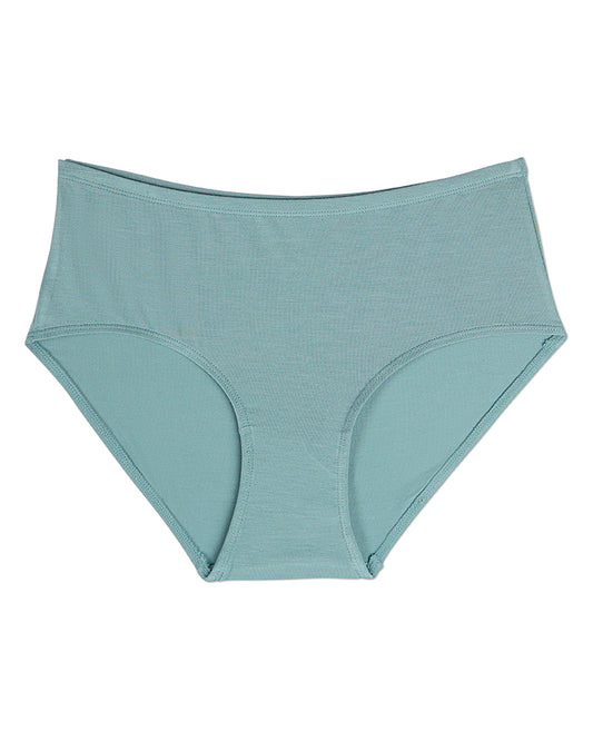 3 Pair Women's Luxe Modal Blend Brief Panties : Color: Arctic