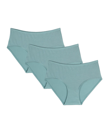 3 Pair Women's Luxe Modal Blend Brief Panties
