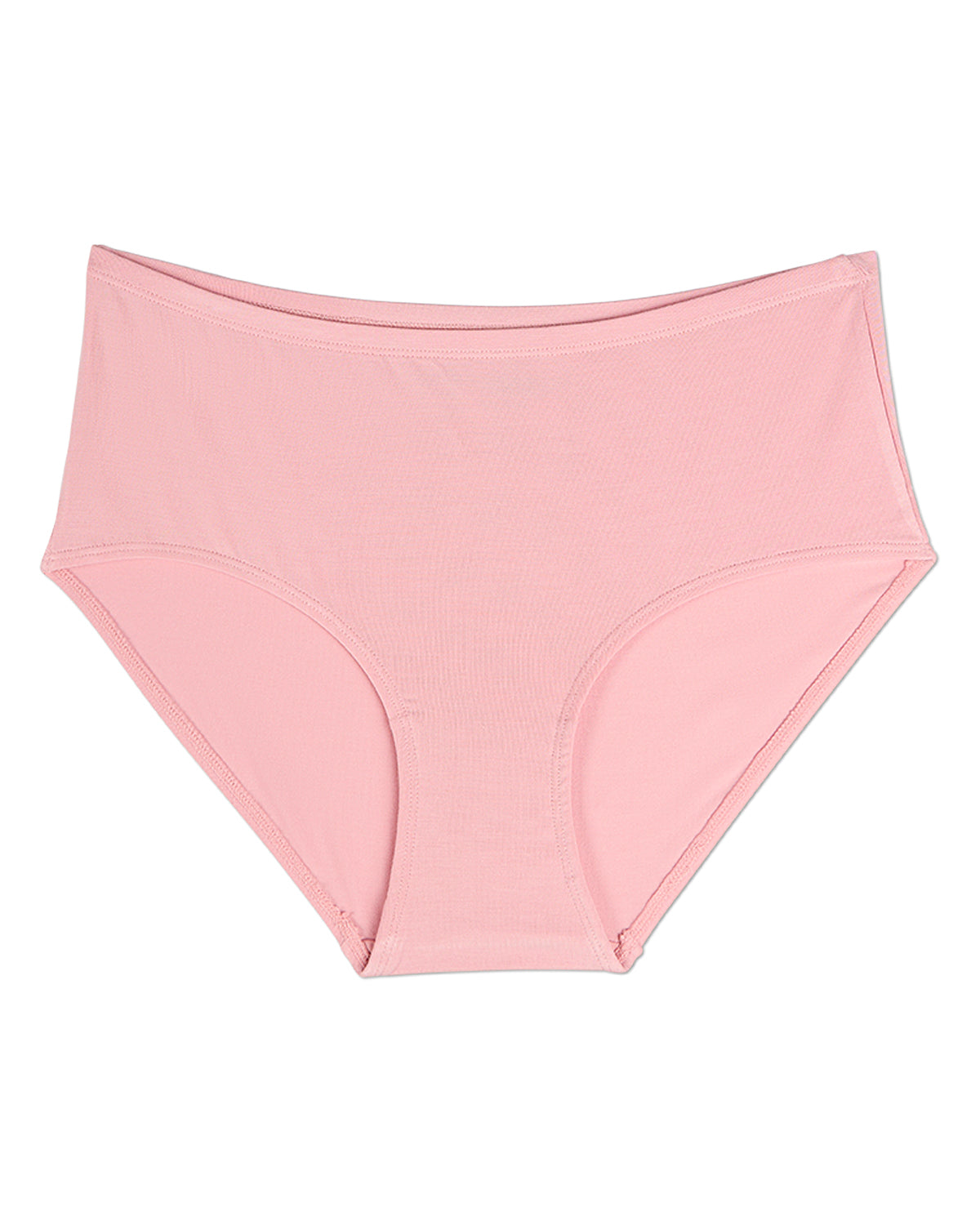 3 Pair Women's Luxe Modal Blend Brief Panties : Color: Arctic