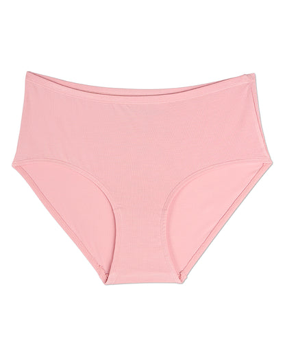3 Pair Women's Luxe Modal Blend Brief Panties : Color: Arctic