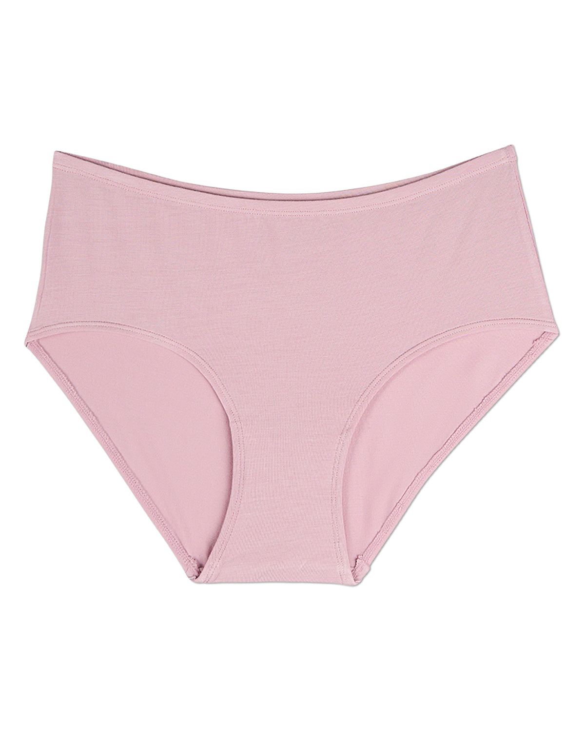 3 Pair Women's Luxe Modal Blend Brief Panties : Color: Arctic
