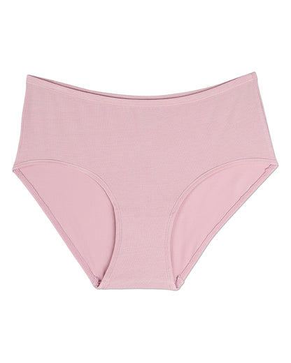 3 Pair Women's Luxe Modal Blend Brief Panties : Color: Arctic