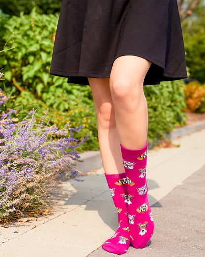 Professor Dogs Bamboo Blend Crew Socks : Color: Fuchsia