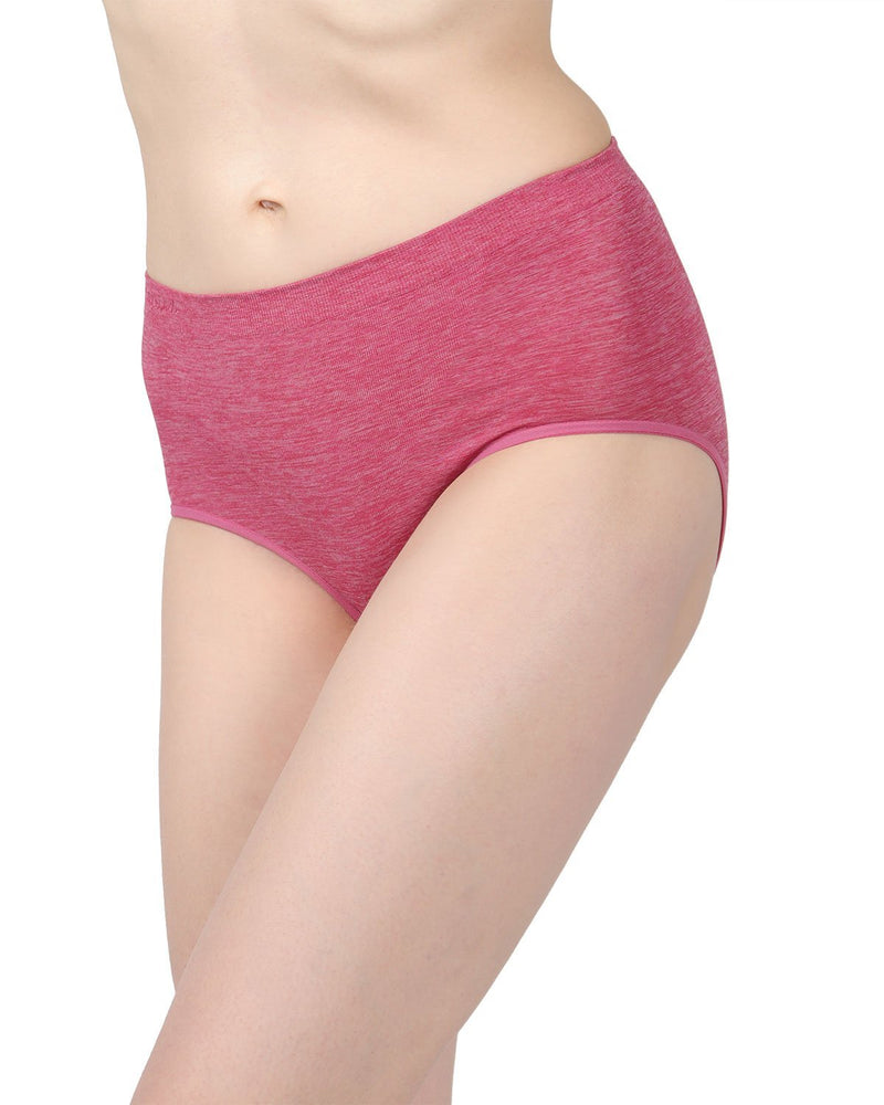 MeMoi Women's SlimMe Seamless Control Brief Panty in Nude (MSM-100